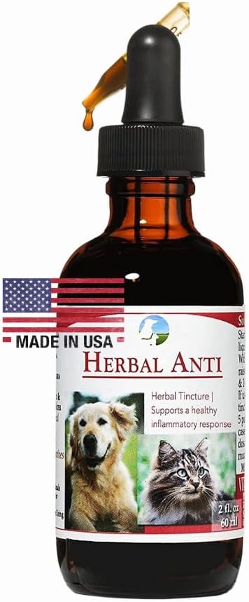 Vitality Science Herbal Anti for Cats and Dogs | 공장 기반 | GI Tract + Colon Health Supplement (0.5 oz)