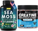 Sea Moss & Creatine Monohydrate Gummies 번들 270 조사 – 유기 바다 Moss 검은 씨앗 오일 Aşhwagandha Ginger & Creatine Monohydrate (2 팩)