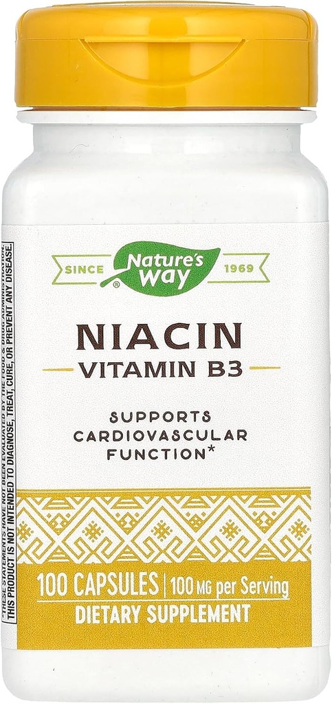 자연의 방법 성격의 방법 Niacin 100mg, 100 조사