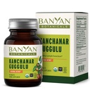 Banyan Botanicals Kanchanar Guggulu 정제 - Guggulu 수지와 유기 림프 보충 - 자연 Toxins의 건강한 제거를 촉진 * - 90 정제 - 비 GMO 지속 가능한 Sourced Vegan