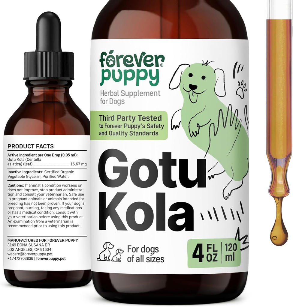 개를위한 영원히 강아지 Gotu Kola 드롭 - Gotu Kola Extract & Centella Asiatica for Brain Health Support - 모든 품종 및 크기의 개를위한 영양 두뇌 보충 - 4 oz