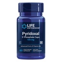 생활 연장 Pyridoxal 5'-Phosphate 모자 비타민 B6, 100 mg의 심장 혈관을 위한 생물 활성 B6, Kidney & Nerve 건강 글루텐 자유로운, 비 GMO, 채식주의자 60 채식 캡슐