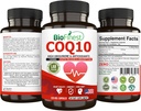 BioFinest CoQ10 Coenzyme Q10 100mg 보충교재 - 급속한 방출 빠른 흡수 - 면역성이 있는 심장 에너지 (120caps)