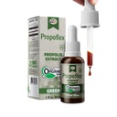 Beelife Propoflex 유기 녹색 Propolis 추출물 - 높은 Artepillin-C 수준, 전체 웰빙을위한 산화 - Rich 보충 - 자연 & Kosher-Friendly 다이어트 보충 - 브라질, 1 Fl. Oz에서 만든.