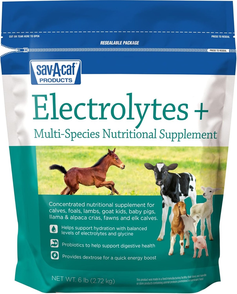 Sav-a-Caf Electrolytes PlusTM 보충교재 | 6 파운드 (6 LB) 가방