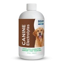 Beam Minerals Complete Canine Electrolytes | 개를위한 전체 스펙트럼 일체형 | 12 Fl Oz