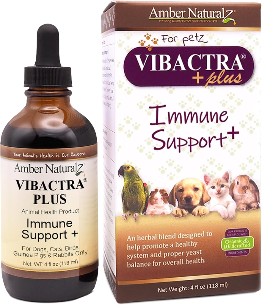 Amber NaturalZ Vibactra Plus Dogs, Cats, Birds, 기니 돼지 및 토끼를위한 초본 보충 | 면역력과 효모 균형을위한 허브 | 4 유체 Ounce 유리 병