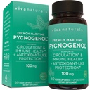 Viva Naturals Pycnogenol - 100mg 프랑스 마리타임 소나무 껍질 추출물 - 순환, 산화 방지제처럼 활동, 관절 및 면역 건강 및 기능 지원 - 60 Veggie 캡슐