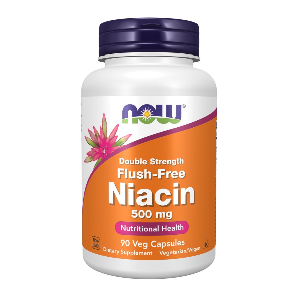 지금 음식 보충교재, Niacin (비타민 B-3) 500 mg, Flush 자유로운, 두 배 힘, 영양 건강, 90의 Veg 캡슐