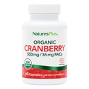 NaturesPlus 유기 크랜베리 500 mg - 60 캡슐 - 건강한 Urinary Tract를 촉진하는 데 도움이 - USDA 인증 유기, Vegan, 글루텐 무료, 비 GMO - 30 서빙