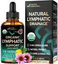 USDA 유기 림프 배수장치 보충교재 - Echinacea | Elderberry | Dandelion | Rosehip | Cleavers | Calendula | Burdock - Made in USA - Lymph System Drops - Immune Support, Cleanse & Detox, 2 fl oz