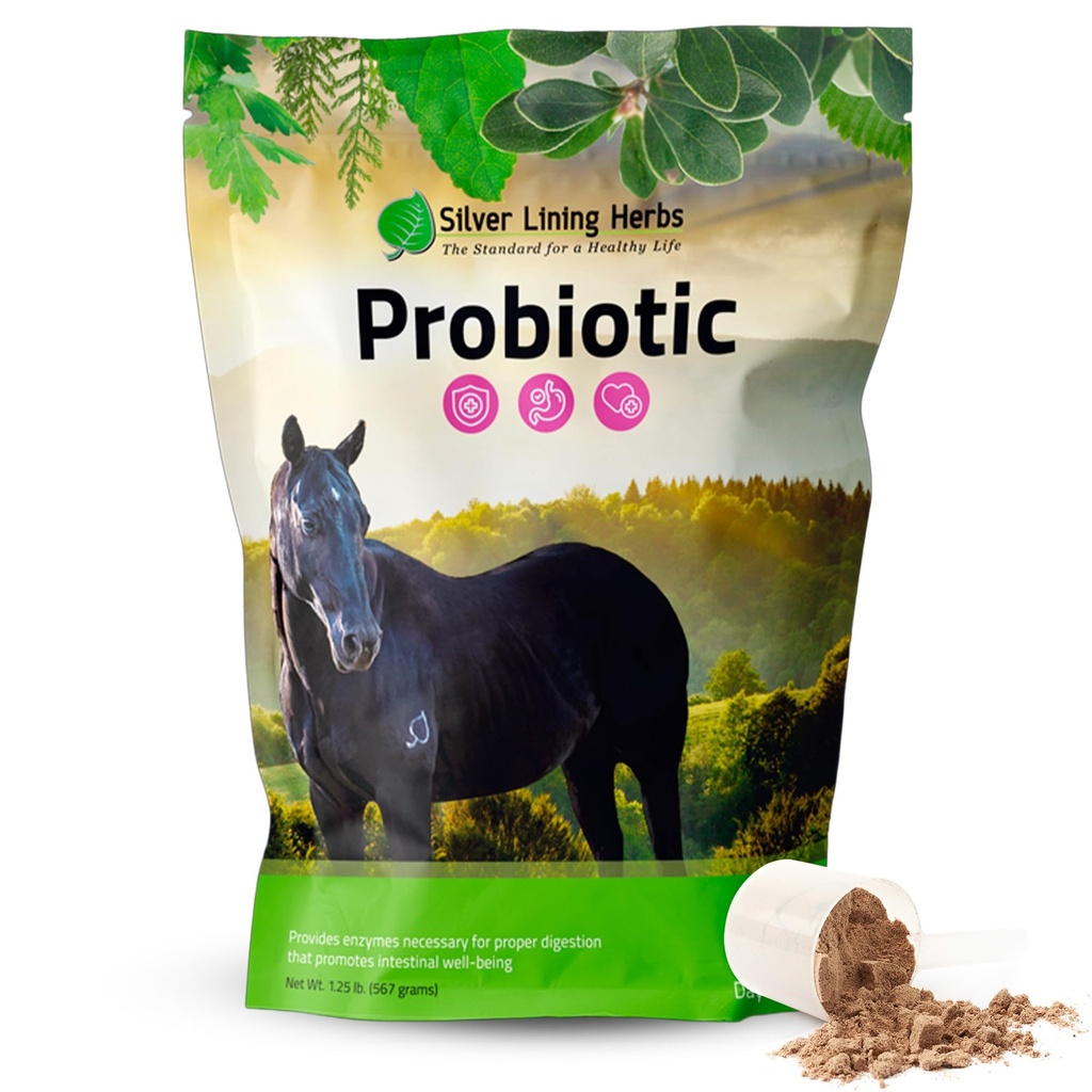 은 Lining 허브 말 Probiotics 소화 보조 식품 - 소화 효소 및 Gut 건강 Probiotic 보충 - 13.2 억 CFUs Probiotic Strains를 포함합니다 - 1.25 lb 60 일 공급