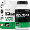 Renew Actives Sea Moss Triple-Action Antioxidant Blend with BioPerine – 유기 아일랜드어 Sea Moss 500MG, Bladderwrack 500MG & Burdock Root 400MG per 2 캡슐 - 캐나다 - 60 캡슐