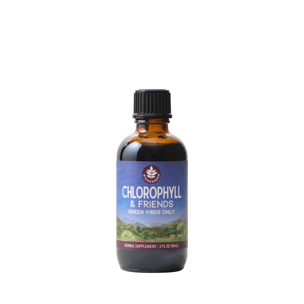 WishGarden Herbs Chlorophyll & Friends - Nettle Leaf, Holy Basil, Moringa Leaf & Peppermint Leaf와 Chlorophyll Liquid Drops, 에너지 증가, 건강한 면역, 스트레스 응답, 2oz