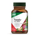 Floradix Iron + Herbs - 건강한 에너지 지원을위한 철 보충 * - Red Blood Cell Formation - Vegan, Non-GMO, Gluten-Free, Soy-Free - 60 액체 Phyto-Caps 지원