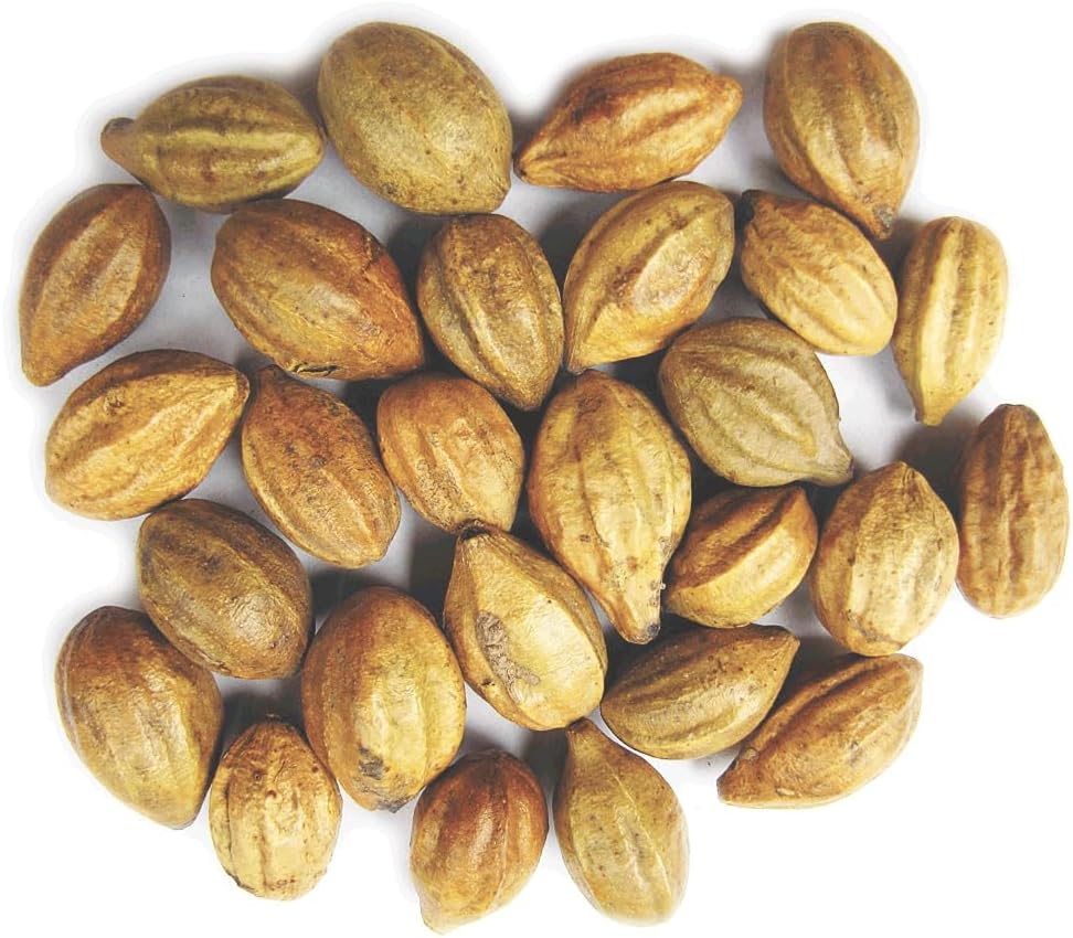 Naturals Terminalia Chebula | 가덕카이|하드 | Inknut | 하리타키 인디언트 허브(200g(7 oz))
