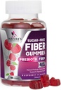 Prebiotic 섬유 Gummies 4g - 성인의 소화 건강 및 일반 지원을위한 설탕 무료 거미 섬유 보충 - 천연 라즈베리 맛, 식물 기반 혼합, 비 GMO 및 글루텐 무료 - 60 Gummies