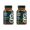 Gaia Herbs Vitex Berry (Chaste Tree) - 여성을위한 호르몬 균형 및 불임 지원 - 60 Vegan Caps & Liver Health - 우유 이틀, 리코스 뿌리와 간결 지원 -
