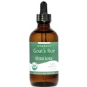 허브로 유기농 염소 Rue Tincture - Breastfeeding 용 Lactation 보충 - Breastmilk 생산 지원 Breast 우유 공급 (4 fl oz)을 증가