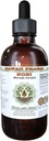 Noni 알콜 자유로운 액체 추출물, 유기 Noni (Morinda citrifolia) 말린 과일 글리세리티 자연적인 초본 보충교재, 하와이 Pharm, 미국 2 fl.oz