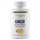Digestive Health, Super Potent, Ultra Pure, Vegan, Non-GMO, Gluten Free, 60 채식 캡슐에 대한 파라다이스 허브 프리미엄 생강 추출물