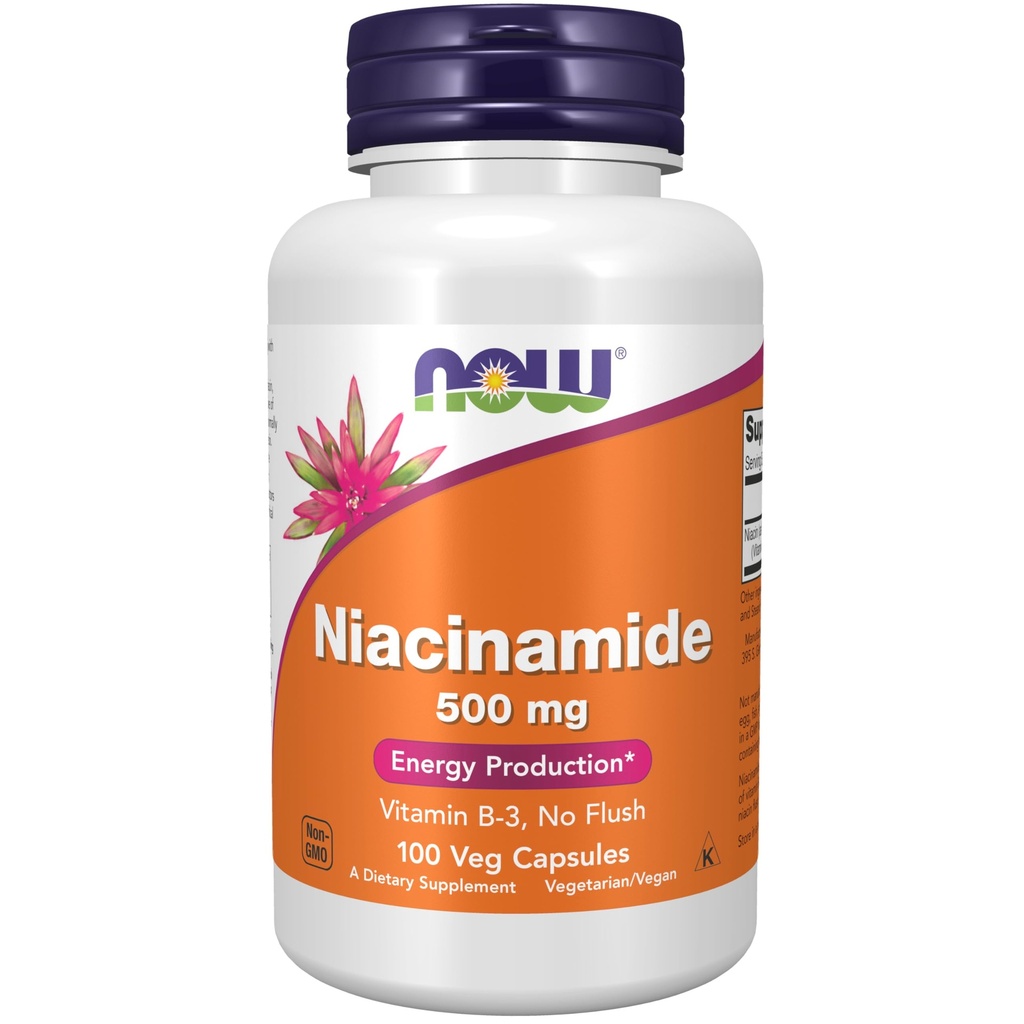 지금 식품 보충제, Niacinamide (비타민 B-3) 500 mg, 에너지 생산 *, 100 Veg 캡슐