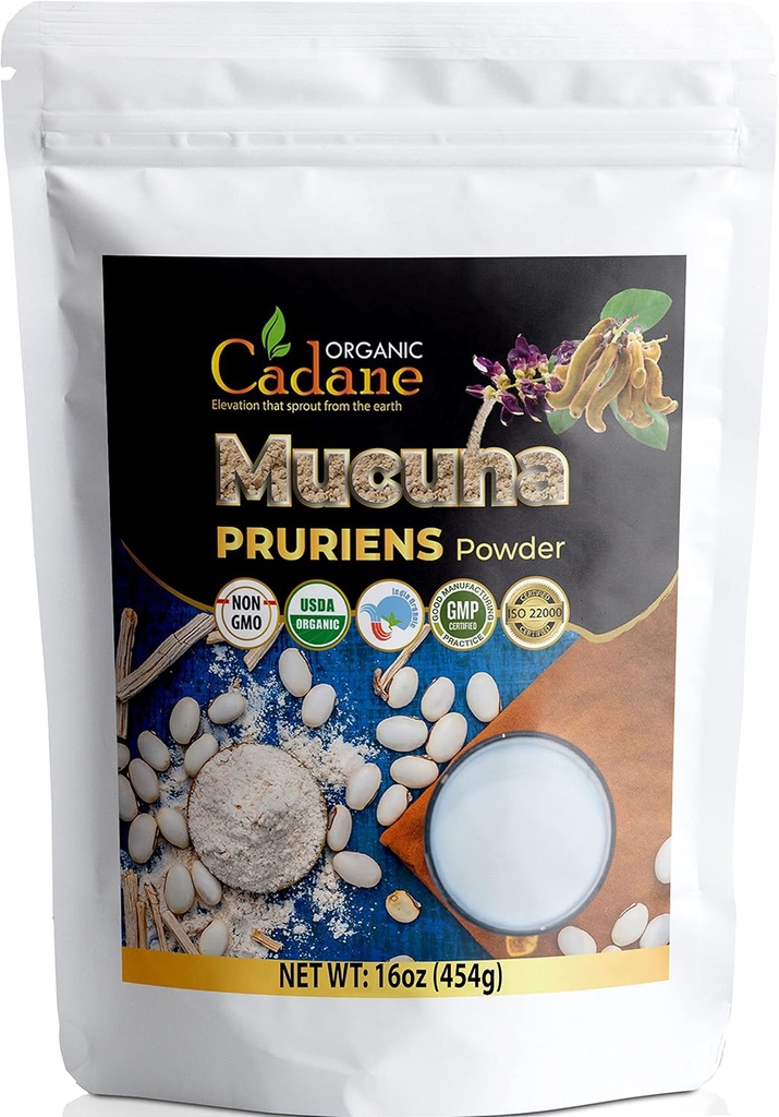 유기 Cadane Mucuna Pruriens 분말 1 파운드 | 뇌 건강 증진, 면역 시스템 지원, 에너지 | USDA 인증 Vegan-Friendly 보충제 | 인도에서 순수한 천연 Velvet Beans 추출물