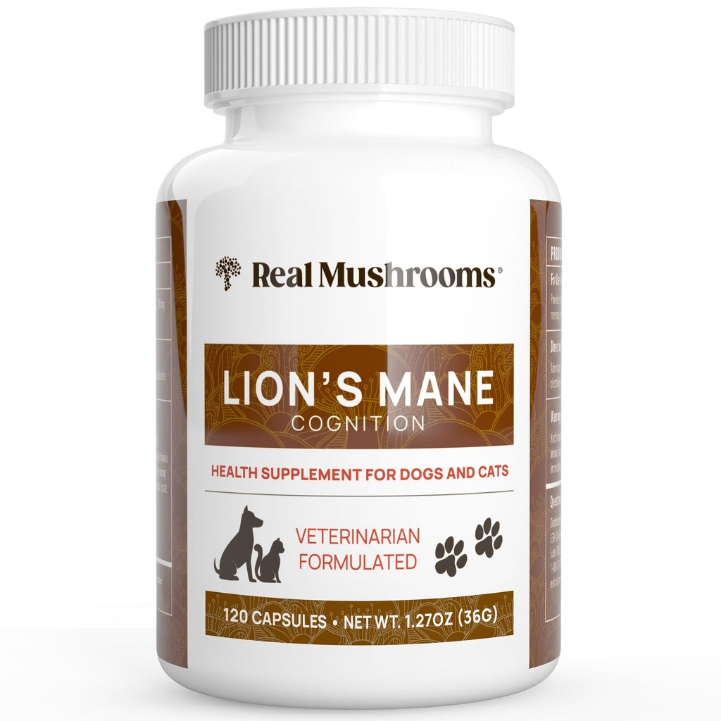 Real Mushrooms Lion 's Mane Pet Mushroom Supplement - 애완 동물 웰빙 캡슐 - 고양이 및 개 보충 및 비타민 - 지원 Mindful Routines - 유기, 비 GMO, 120 조사