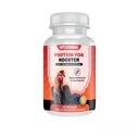 로스터 치킨을위한 단백질 혼합 - Proteina 기초 de Suero de Leche y Albumina de huevo para Gallos 100 타티아스