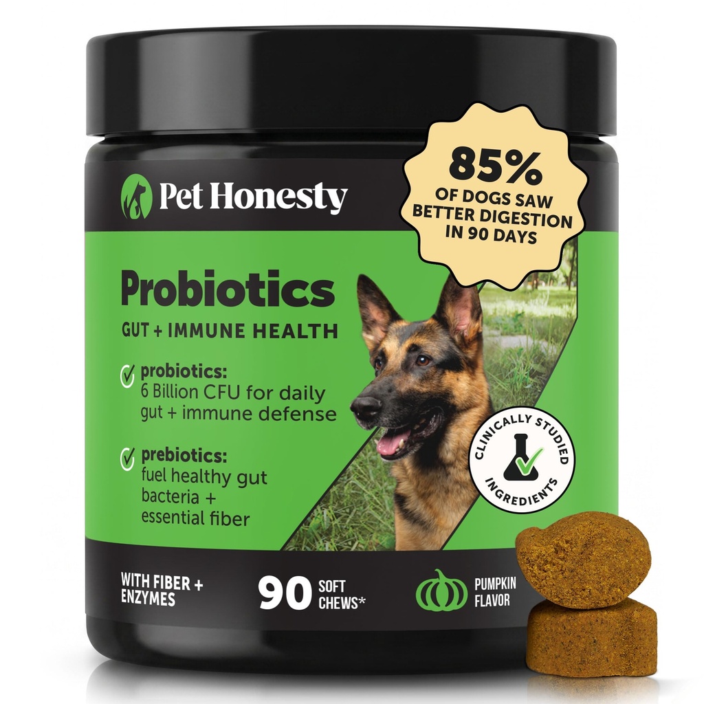 Occasional Diarrhea & Bowel Support, Dogs, Immunity Health & Itch Relief (Pumpkin 90 ct)에 대한 Gut Health를 위한 Prebiotics를 가진 소화 효소 (Pumpkin 90 ct)