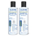 Dermasolve Eczema Relief 샴푸 - Flare Control Scalp & Dandruff Free Therapy that Protects, Moisturizes, and Repair Skin for Kids & Adults - 무료 스테로이드 (2 팩)