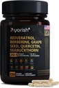 Resveratrol 보충교재 | Berberine 포도씨 추출물 Quercetin 녹차 추출물 Acai Noni Polyphenol 여성 & 남자, N-Acetyl Cysteine NAD 승압기 120 조사를 위한 보충교재