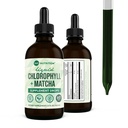 L-Theanine, 글루텐 자유로운 & Vegan 내부 Deodorant 보충교재, 지원 Gut 건강, Digestion, 에너지, Radiant 피부, 빠른 흡수, 60의 서빙을 가진 360의 영양 matcha Chlorophyll 액체 하락