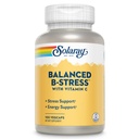 SOLARAY B-Stress 보충교재 | 100개 조사