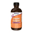 지금 보충 교재, CoQ10 액체, Teaspoon 당 100 mg, Co-enzyme B 비타민과 더불어, Xylitol, 4-Ounce로 감미롭게