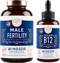 WINDSOR BOTANICALS Vegan 비타민 B12 및 Maca 뿌리를 가진 남성 불연성 보충교재 - 에너지와 불연성 뭉치