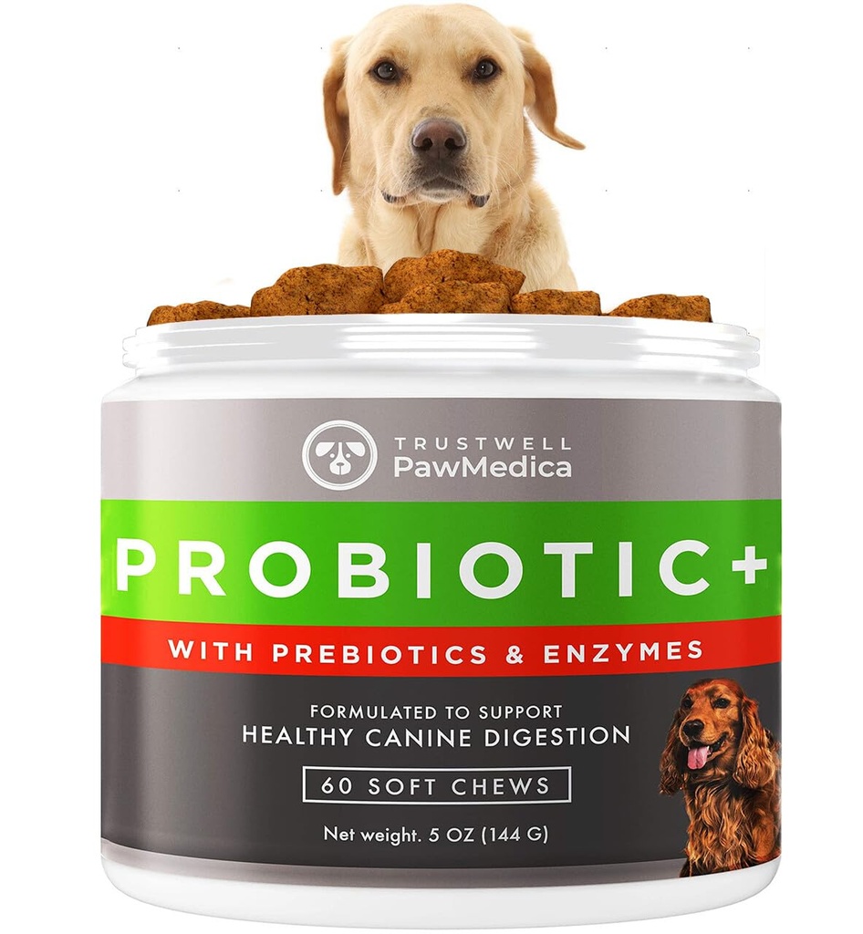 PawMedica Dog Probiotics 및 Digestive Enzymes, 미국, 개를위한 애완 동물 Probiotic Chews, Prebiotics & Probiotic Dog Digestive Support, Probiotic Treats - 60 개 Probiotic Chews