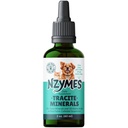 Nzymes®는 애완 동물을 위한 무기물 - Fulvic 산, Humic 산 및 ATP 에너지를 위한 철 근거한 추적 무기물 하락 및 아미노산, 및 소화성 건강 - 미국에서 만드는