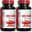 URIC 산성 지원 - Urinary Tract 지원, 진보된 초본 공식, Uric 산 홍조, 지원 Uric 산, 합동 지원 보충교재 - 2개의 병 120의 캡슐