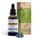 Tribe Bilberry Fruit USDA Organic의 비밀 | 알코올 무료 추출물, 고순도 허브 드롭, 비전 | 100 % 인증 유기농 Bilberry (Vaccinium Myrtillus) 건조 과일 2 oz