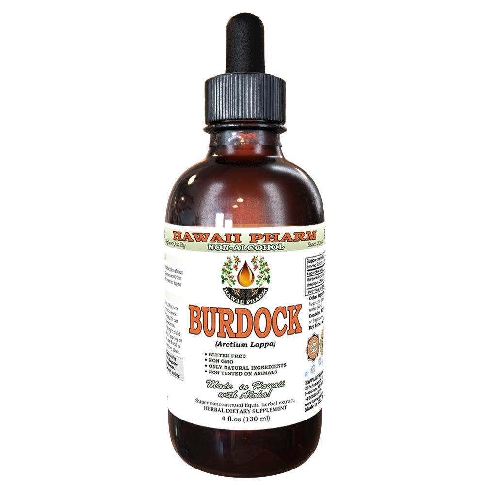 Burdock 알콜 자유로운 액체 추출물, 유기 Burdock (Arctium Lappa)는 뿌리 Glycerite 하와이 Pharm 자연적인 초본 보충교재 4개 oz를 말렸습니다