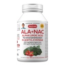 ANDREW LESSMAN ALA + N-Acetyl-Cysteine 360 캡슐을 가진 NAC 알파 Lipoic 산 - Nervous 체계, 심장, 뇌, 간결, Kidneys, Lungs, 에너지를 위한 매우 높은 힘, 반대로 산화 지원. 없음 첨가제