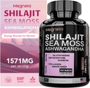 올인원 Sea Moss, Shilajit, Ashwagandha & Glutathione 여성용 보충, 부스트 에너지, 60 캡슐