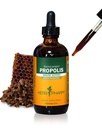 Immune 시스템 지원을위한 허브 Pharm Propolis 액체 추출물 - 4 Ounce