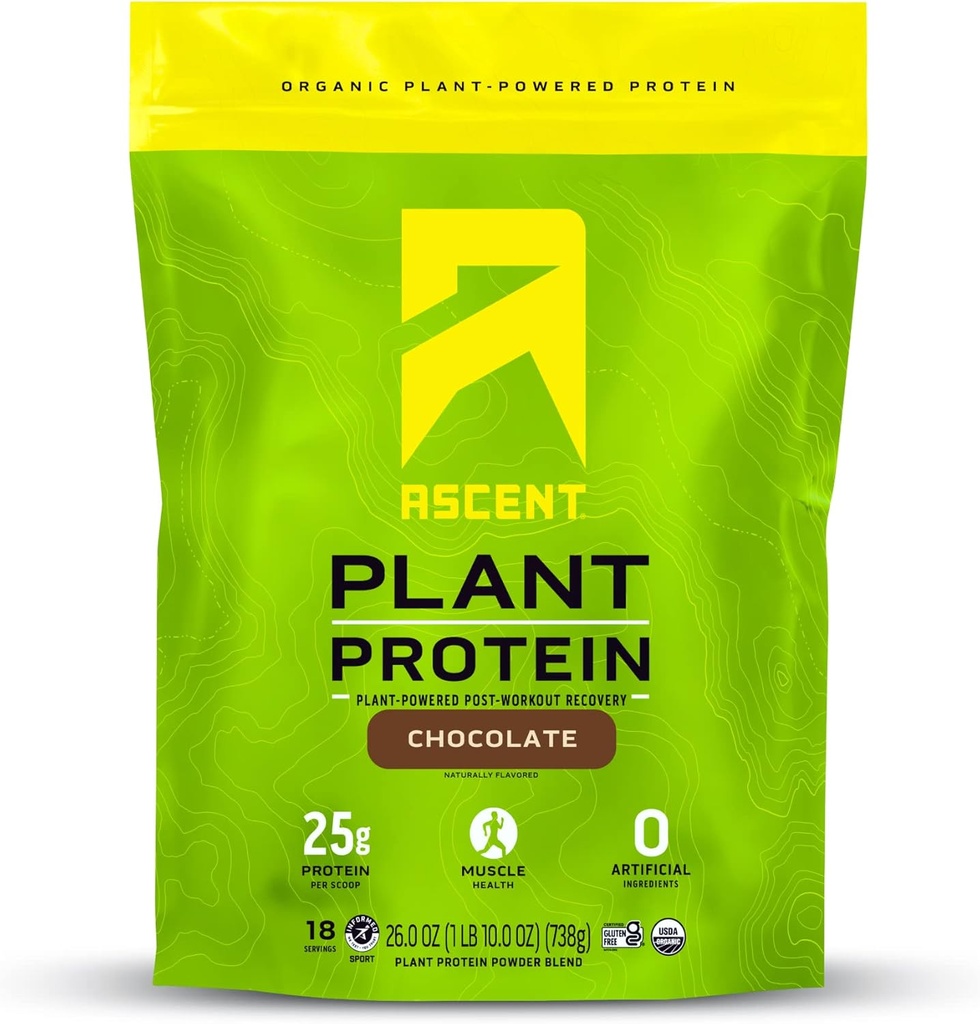 Ascent Plant 기반 단백질 분말 - 비 낙농장 포도당 단백질, 제로 인공 성분, 콩 & 글루텐, 추가 설탕 없음, 4g BCAA, 2g Leucine - 초콜릿, 18 서빙