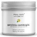 순수한 Garcinia Cambogia 추출물 보충교재 500mg - 60% 자연적인 HCA 추출물은 60%에 집중했습니다 - 건강한 소화 및 대사를 지원합니다 - 60의 캡슐