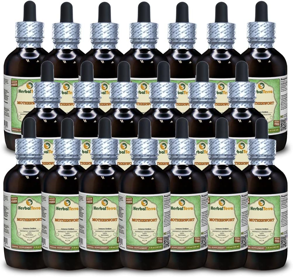 Motherwort (Leonurus Cardiaca) Glycerite, 유기 건조 허브 알코올 무료 액체 추출 (브랜드 이름: HerbalTerra, Proudly Made in USA) 20x4 fl.oz (20x120 ml)