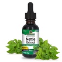 Nature's Answer Nettle Leaf 1oz Extract | Prostate Suppot | Concentrated Dark Green Nettle Leaf Herbal Supplement | Non-GMO, Kosher, Gluten-Free, & Alcohol-Free | 싱글 카운트