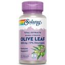 SOLARAY 보장된 Potency 올리브 잎 추출물 두 배 힘, Veg 모자 (Btl 플라스틱) 500mg | 30ct