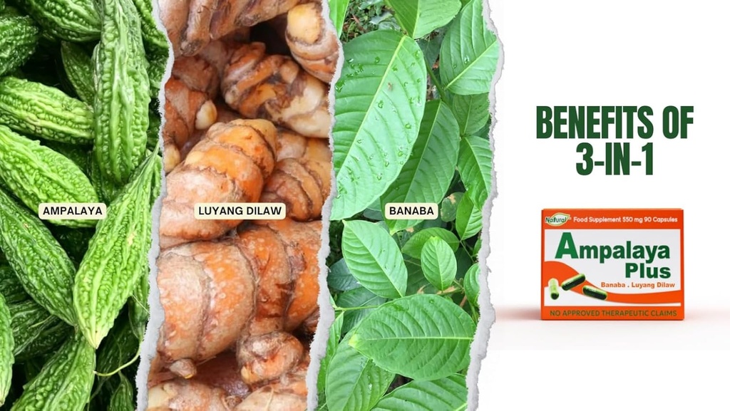 Ampalaya Plus 550mg 90 캡슐 - Banaba, Turmeric Ginger 및 Bitter Melon과 함께 1 팩 Ampalaya Plus - Halal 초본 보충